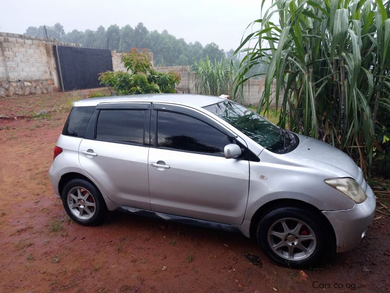 Toyota IST in Uganda