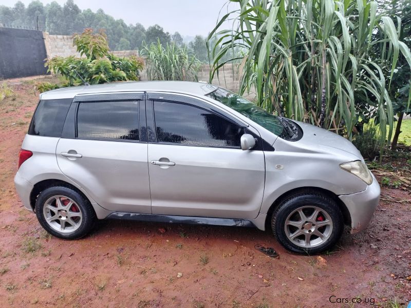 Toyota IST in Uganda