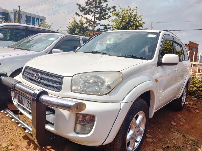 Toyota Rav4 in Uganda