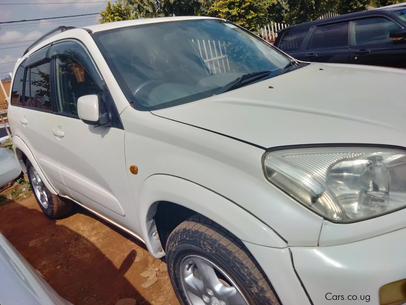 Toyota Rav4 in Uganda