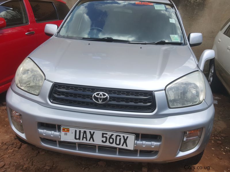 Toyota Rav4 in Uganda