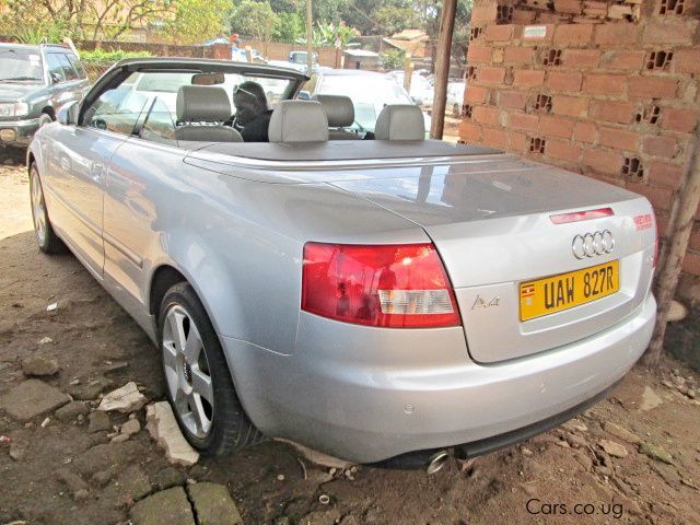 Audi A4 in Uganda