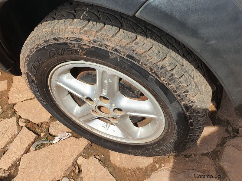 Land Rover Freelander in Uganda