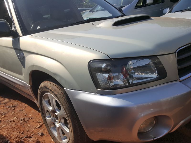Subaru forester in Uganda