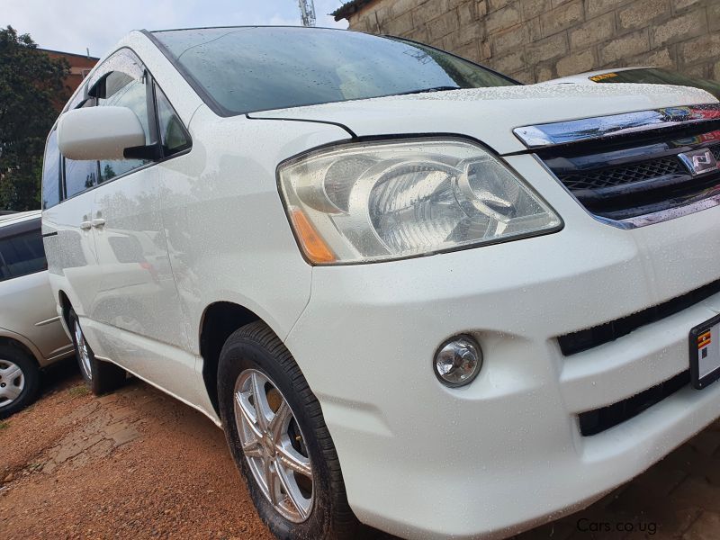 Toyota Noah in Uganda