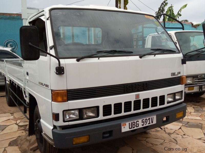 Isuzu Elf 250 in Uganda