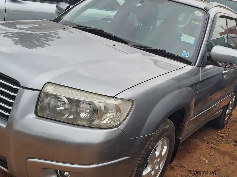 Subaru Forester in Uganda