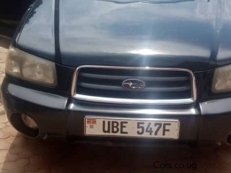 Subaru Forester in Uganda