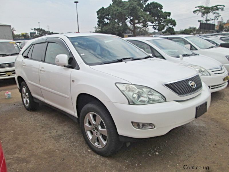 Toyota Harrier in Uganda