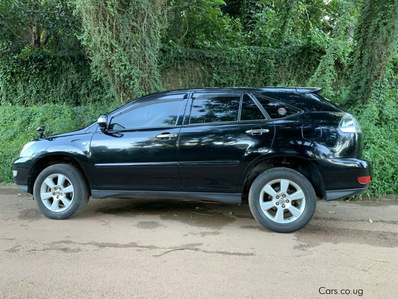 Lexus RX 330 in Uganda