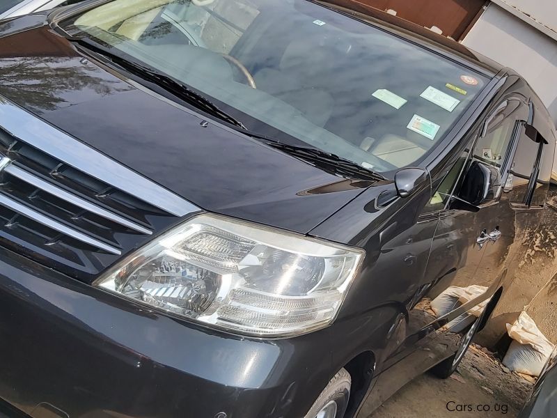 Toyota Alphard in Uganda