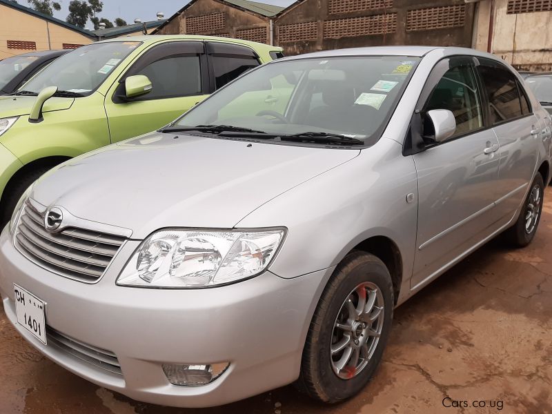 Toyota Corolla in Uganda