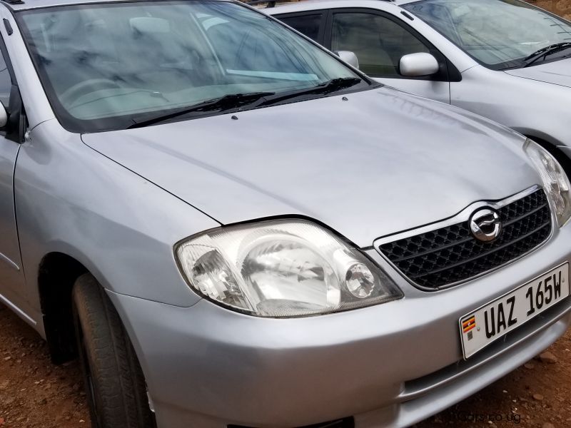 Toyota Fielder in Uganda