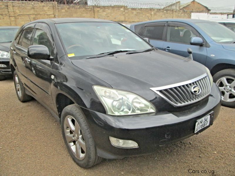 Toyota Harrier in Uganda