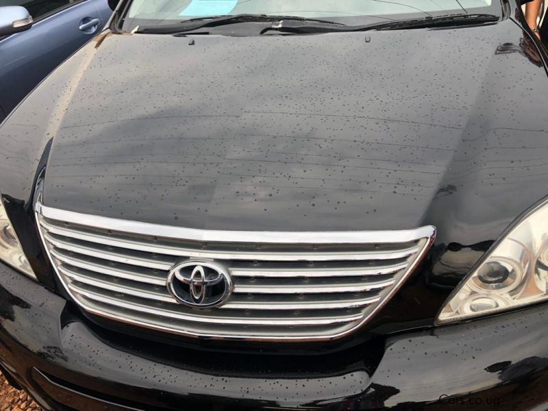 Toyota Harrier in Uganda