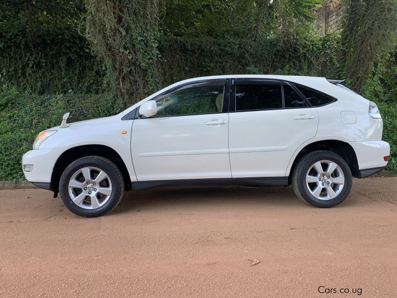 Toyota Harrier in Uganda