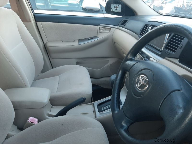 Toyota Runx in Uganda