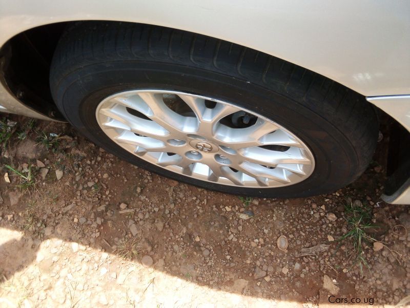 Toyota Blade in Uganda