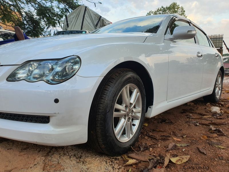 Toyota Mark X in Uganda