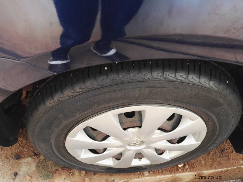 Toyota fielder in Uganda