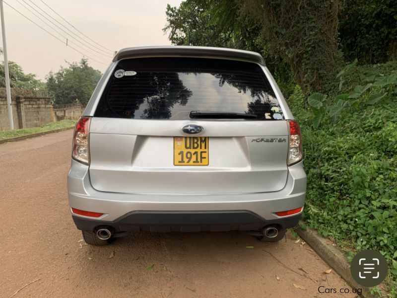 Subaru Forester  in Uganda