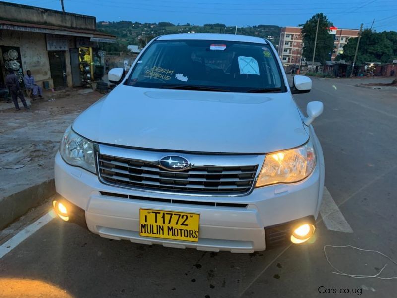 Subaru Forester in Uganda