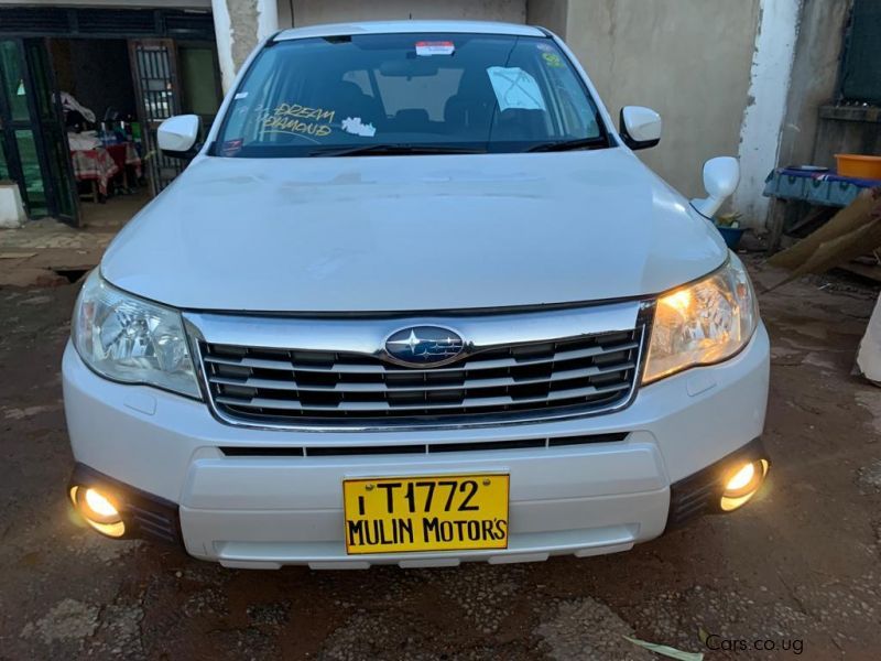 Subaru Forester in Uganda