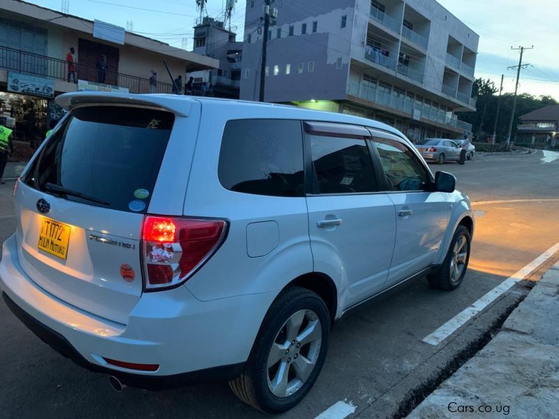 Subaru Forester in Uganda