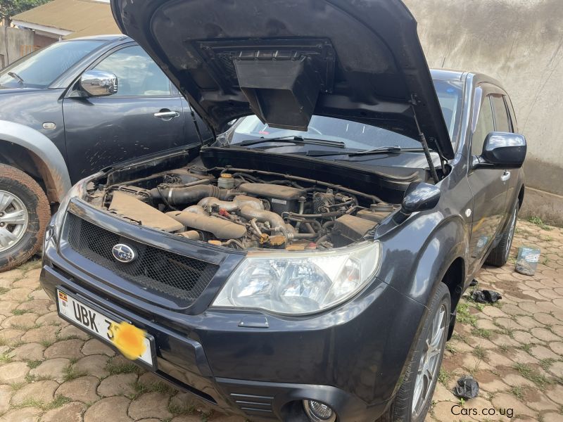 Subaru Forester in Uganda