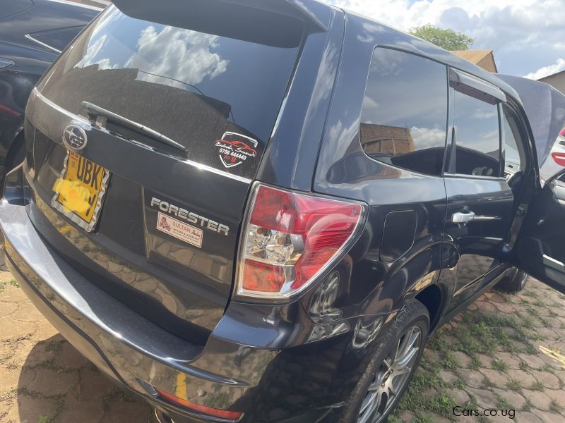 Subaru Forester in Uganda