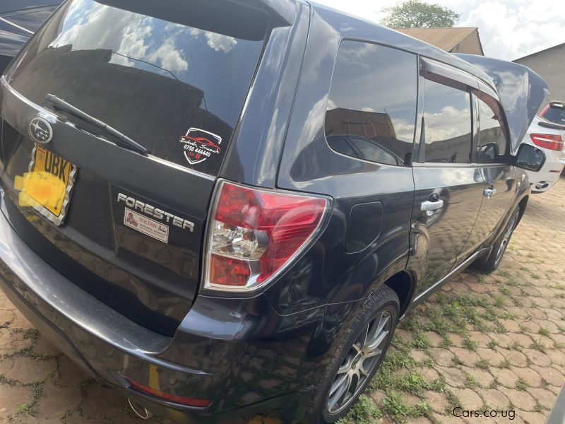 Subaru Forester in Uganda