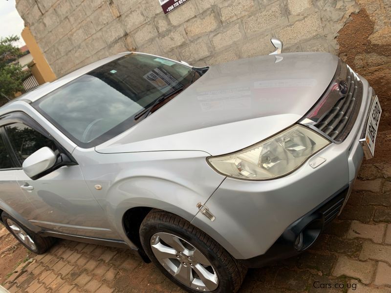 Subaru Forester in Uganda