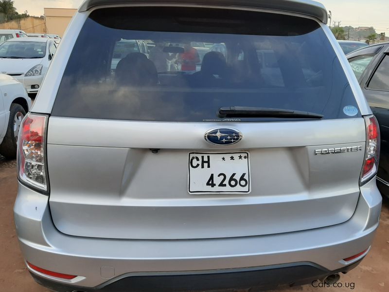 Subaru Forester in Uganda