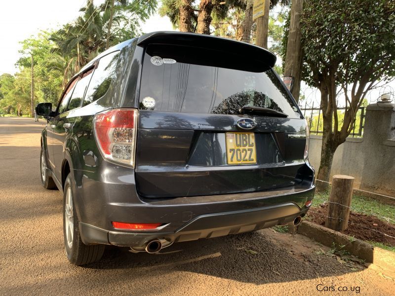 Subaru Forester in Uganda