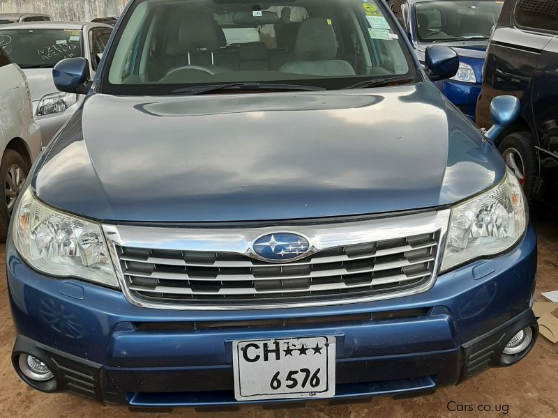 Subaru Forester in Uganda