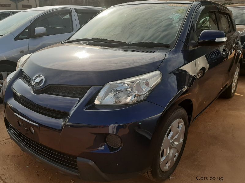 Toyota IST in Uganda