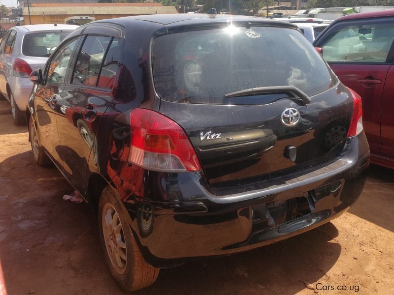 Toyota vitz in Uganda