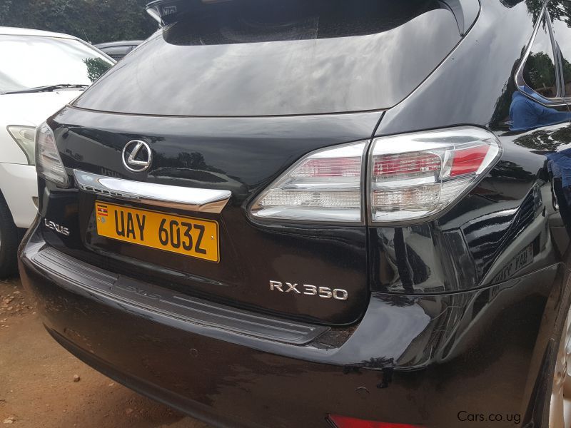 Lexus RX in Uganda