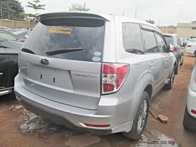 Subaru Forester in Uganda