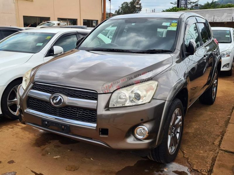 Toyota Rav 4 in Uganda