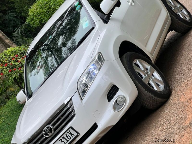 Toyota Vanguard in Uganda