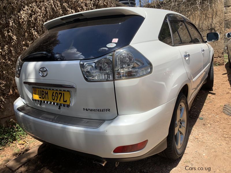 Toyota harrier in Uganda