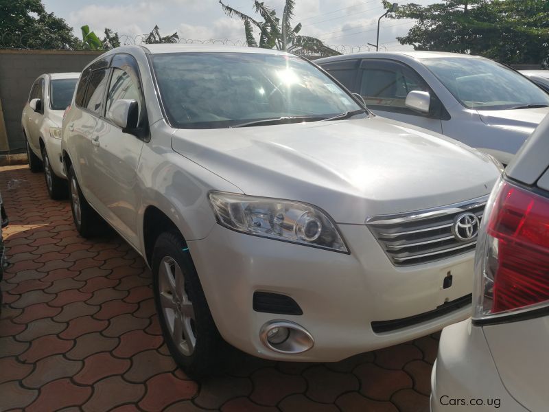 Toyota vanguard in Uganda