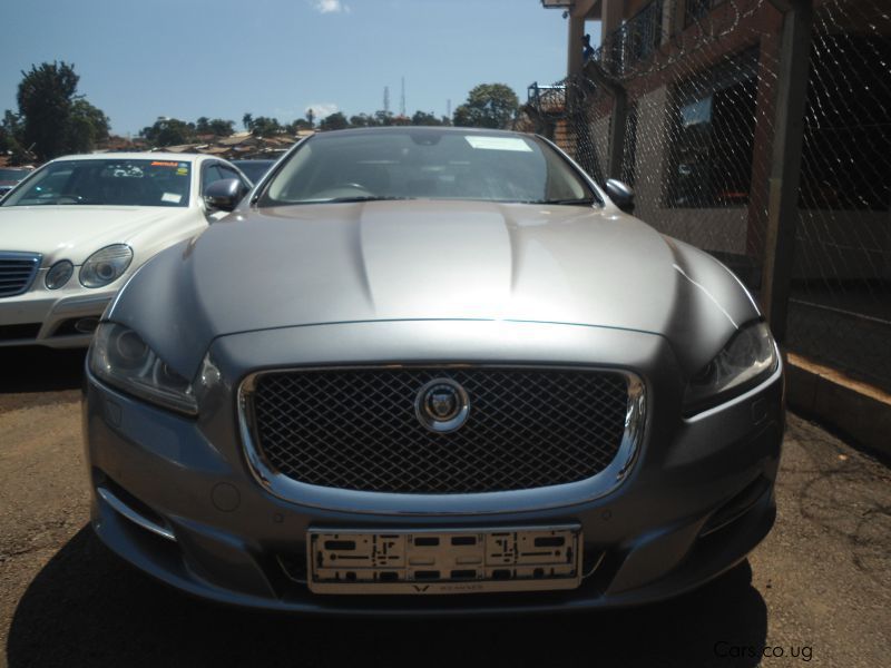 Jaguar xlt in Uganda
