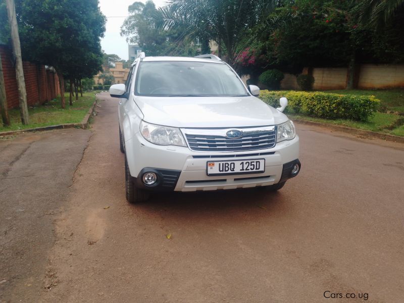 Subaru Forester in Uganda