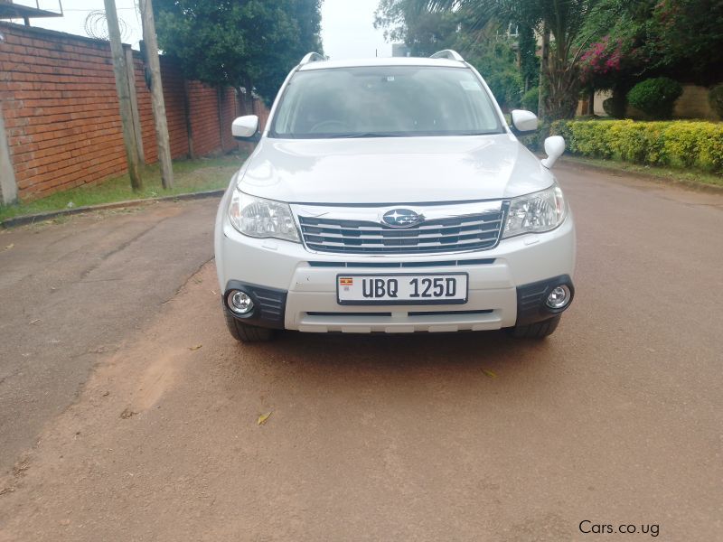 Subaru Forester in Uganda