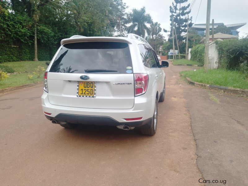 Subaru Forester in Uganda