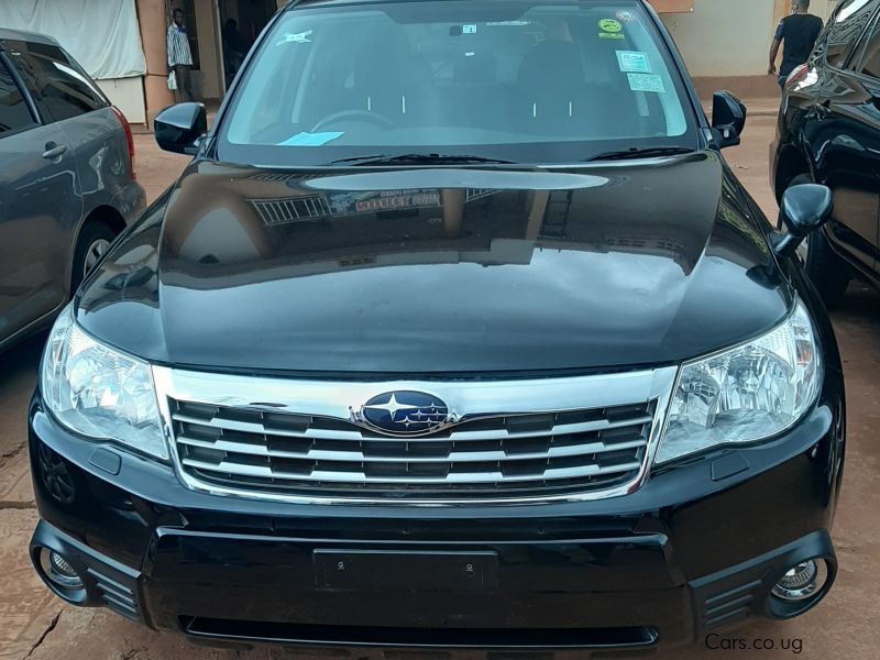 Subaru Forester in Uganda