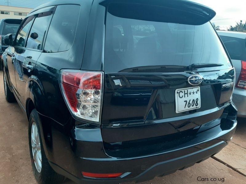 Subaru Forester in Uganda