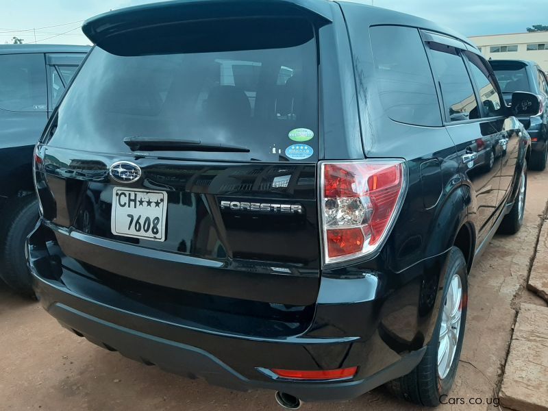 Subaru Forester in Uganda